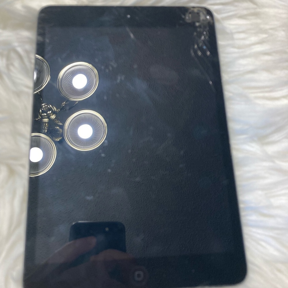 iPad mini *parts*